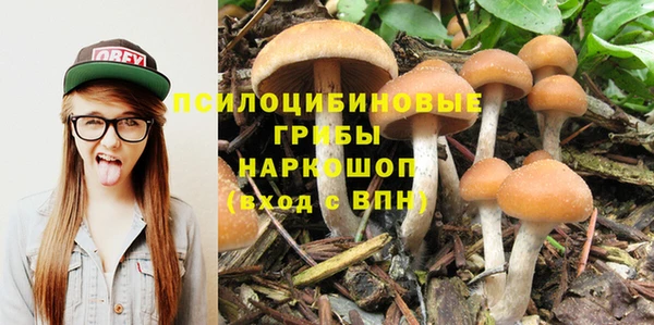 COCAINE Медногорск